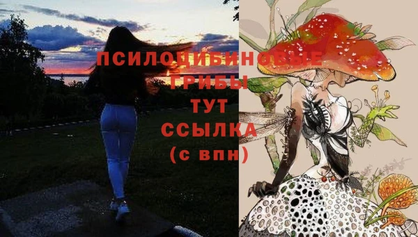 дживик Белоозёрский